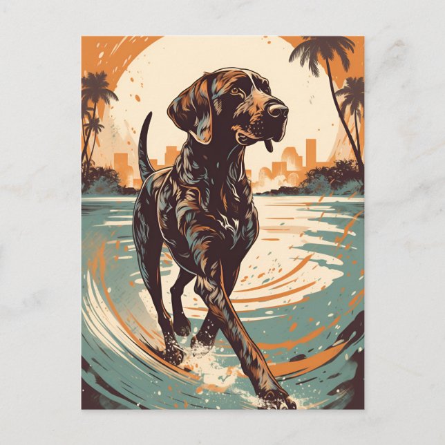 Shorthaired Pointer at a beach during sunset Postcard (Front)