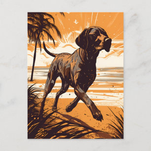 Shorthaired Pointer at a beach during sunset Postcard