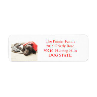 Shorthaired Pointer Holiday Address Label Return Address Label