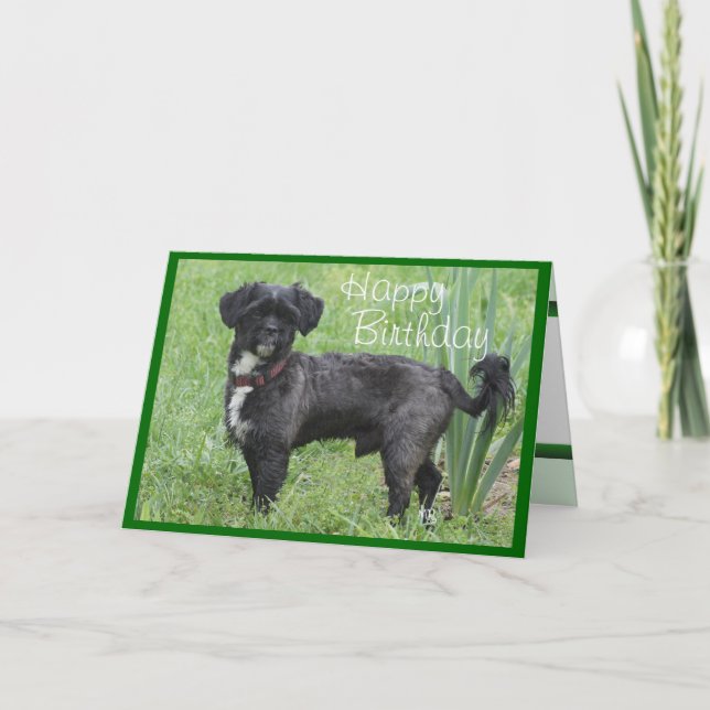 Shorty by Iris-customise any occasion Card (Front)