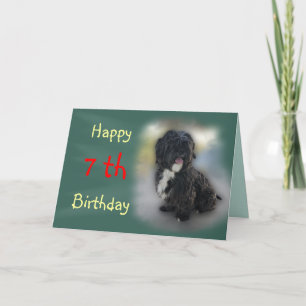 Shorty Lhasa Apso-Shih Tzu Card-customise Card