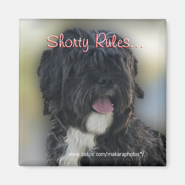 Shorty Lhasa Apso-Shih Tzu Magnet-personalise Magnet (Front)