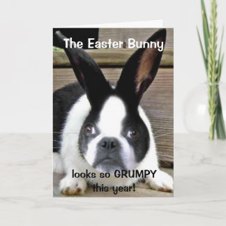 Shorty's 2011 Easter Card