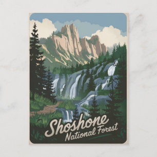 Shoshone National Forest vintage Postcard