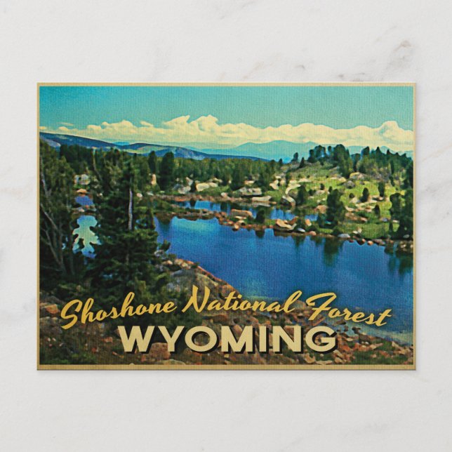 Shoshone National Forest Wyoming Postcard (Front)