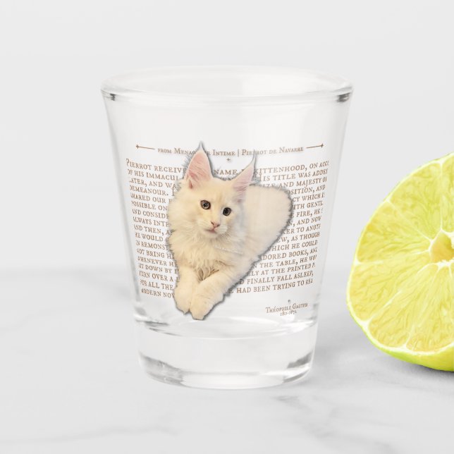 Shot glass - cream Maine Coon kitten (Front)
