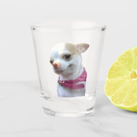 Shot Glass Pretty Chihuahua Dog Meme