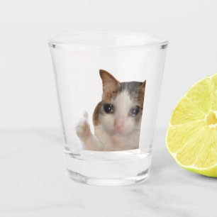 Shot Glass Thumbs Up Ok Cat Meme