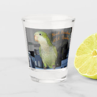 Shot Glass with Quaker Parakeet motif