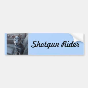 "Shotgun Rider" Blue Heeler Pup Bumper Sticker