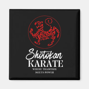 Shotokan Karate Where Tradition Meets Power Magnet
