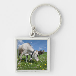 Shots were made by using a wide angle lens. key ring