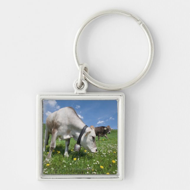 Shots were made by using a wide angle lens. key ring (Front)