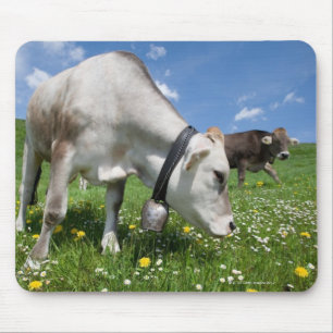 Shots were made by using a wide angle lens. mouse pad