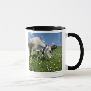 Shots were made by using a wide angle lens. mug