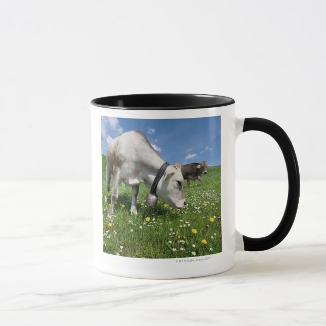 Shots were made by using a wide angle lens. mug (Right)