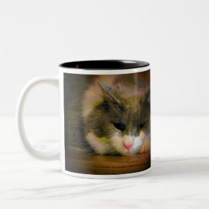 Should have stayed in bed Cat Meme Two-Tone Coffee Mug