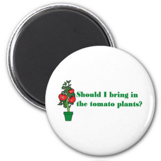 should_i_bring_in_the_tomato_plants_6_cm_round_magnet-rb11e07ec90ac46348b95b34b27da8191_x7js9_8byvr_324.jpg