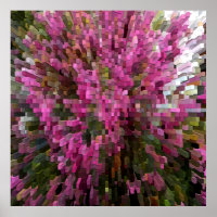 Shouting Pink.....