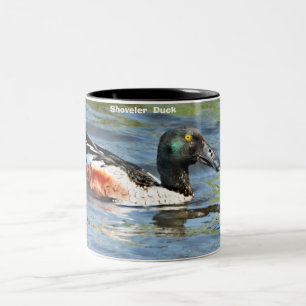 Shoveler  Duck Two-Tone Coffee Mug