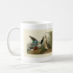 Shoveller Duck - from Audubon's Birds of America Coffee Mug