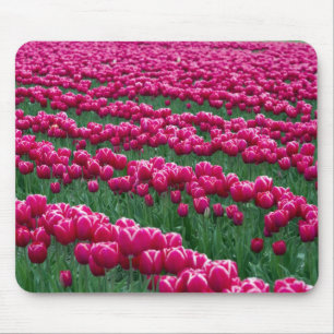 Show garden of spring-flowering tulip bulbs in mouse pad