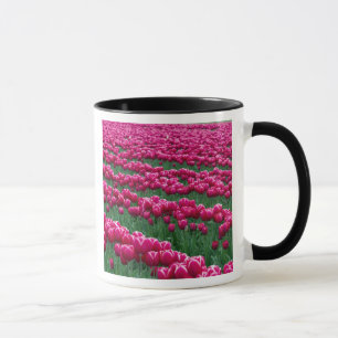 Show garden of spring-flowering tulip bulbs in mug