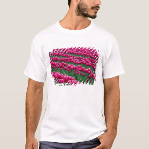Show garden of spring-flowering tulip bulbs in T-Shirt