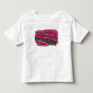 Show garden of spring-flowering tulip bulbs in toddler T-Shirt