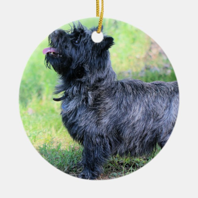 Show girl ceramic ornament (Front)