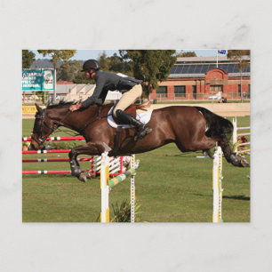 Show jumping horse and rider 2 postcard