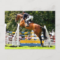 SHOW JUMPING