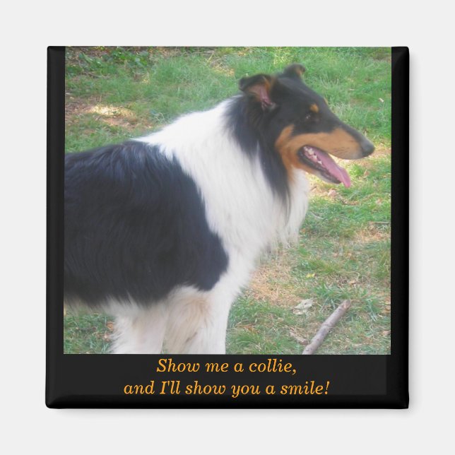 Show me a collie... magnet (Front)