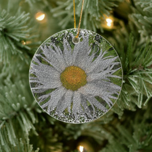 Show Me A Daisy #1 Ceramic Ornament