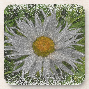 Show Me A Daisy #1 Coaster