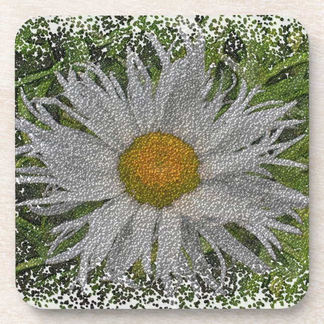 Show Me A Daisy #1 Coaster (Front)