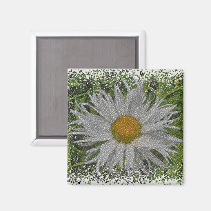 Show Me A Daisy #1 Magnet