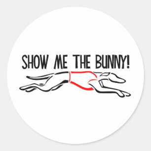 Show me the Bunny! Classic Round Sticker