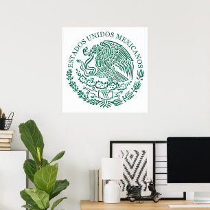 Show off your colours - Mexico Poster