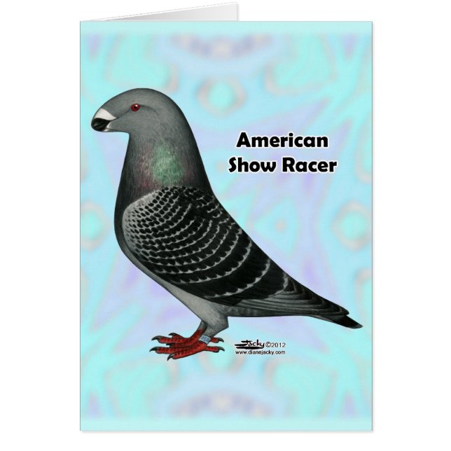 Show Racer ASR (Front)