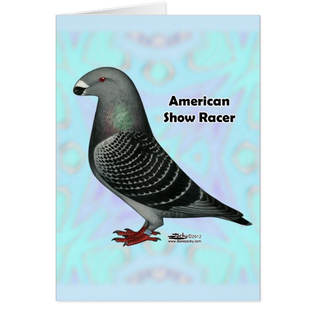 Show Racer ASR (Front)