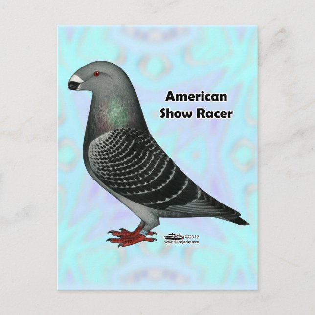 Show Racer ASR Postcard (Front)