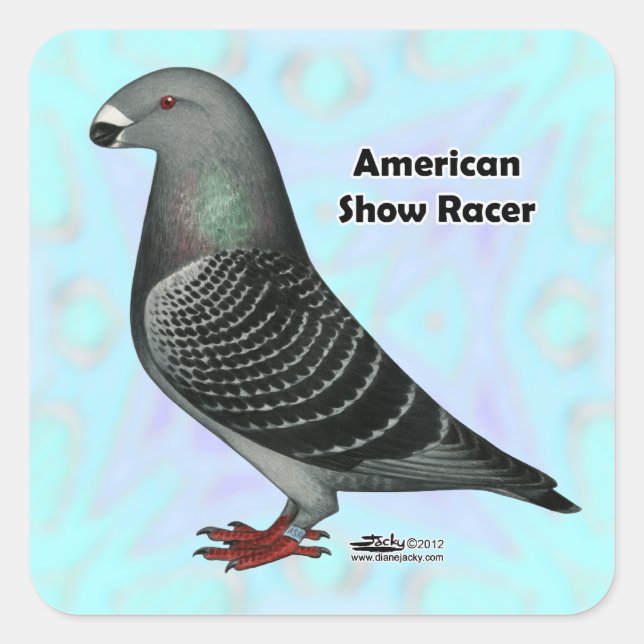 Show Racer ASR Square Sticker (Front)