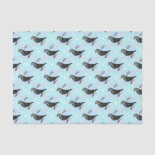 Show Racer ASR Tissue Paper