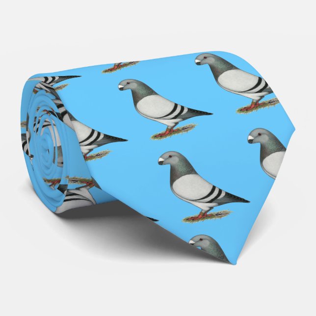 Show Racer Blue Bar Pigeon Tie (Rolled)