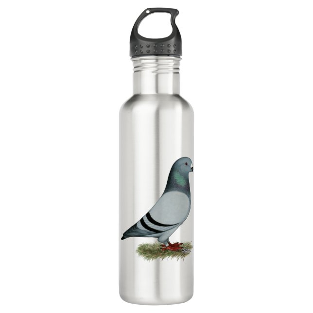 Show Racer Concept 710 Ml Water Bottle (Front)