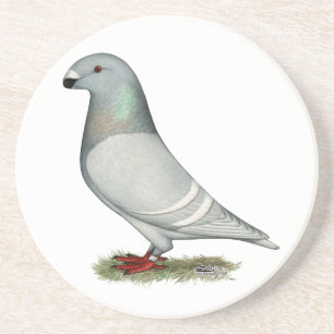 Show Racer Concept Hen Coaster