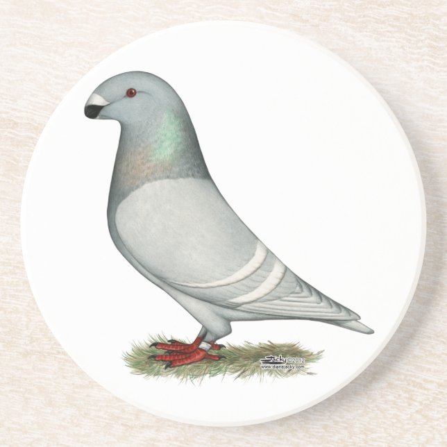 Show Racer Concept Hen Coaster (Front)