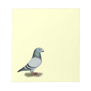 Show Racer Concept Notepad
