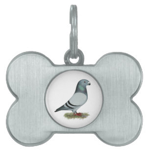 Show Racer Concept Pet Tag